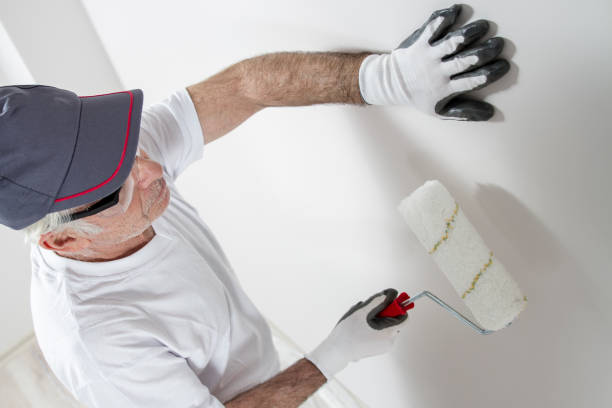 Best Mold Damage Restoration  in Electra, TX