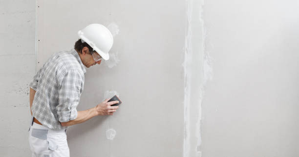 Professional Mold Removal in Electra, TX