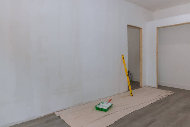 Best Post-Construction Mold Inspection  in Electra, TX