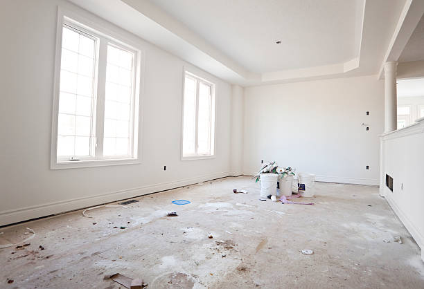 Best Basement Mold Removal  in Electra, TX