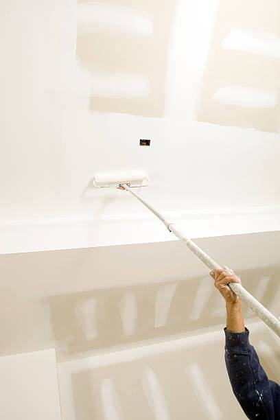 Mold Remediation for Vacation Homes in Electra, TX
